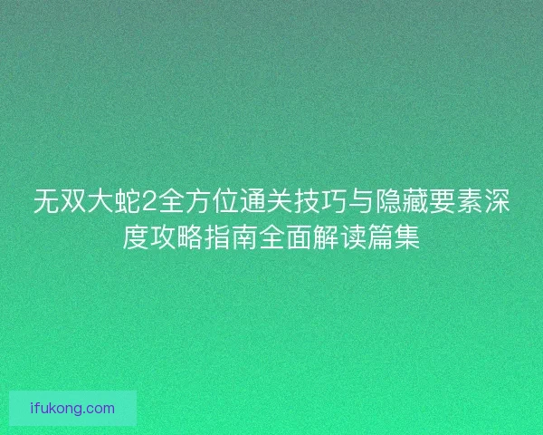 无双大蛇2全方位通关技巧与隐藏要素深度攻略指南全面解读篇集