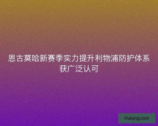 恩古莫哈新赛季实力提升利物浦防护体系获广泛认可